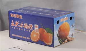 湖（hú）南水果盒包裝廠告訴您水果包（bāo）裝盒是怎麽製作的？